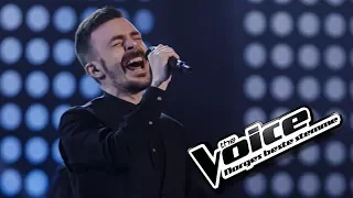 Harald Norheim - Don't You Worry Child | The Voice Norge 2017 | Knockout