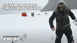 Expérience inoubliable sur le Fjord du Saguenay