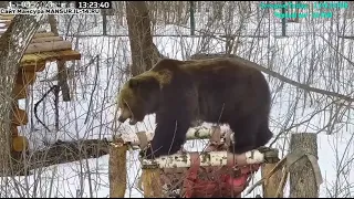 15. 03. 2023         13:17   К весне надо привести в порядок свой гамак.  Мансур