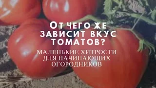 От чего же зависит вкус томатов?