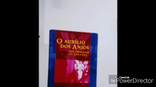 Áudio livro O Auxílio dos anjos parte 1