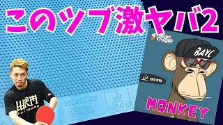 ブロックが激止まりのツブ高｜シェーク編 Monkey Sauer&Troger【卓球知恵袋】試打最高評価