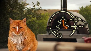 Релакс, Мурлыканье кошки у камина, Исцеляющее Мурлыканье, A purring cat next to the fireplace #15