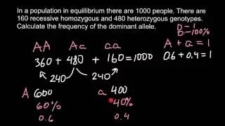 How to calculate allele frequency?