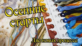 Осенние старты. Новые процессы. Вышивка крестом.