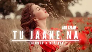 Tu Jaane Na [Slowed + Reverb] - Atif Aslam | BEAT EDITS |