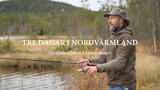 Vandring i Värmlands största orörda skogar | Havsvalladalen & Havsjöskogen