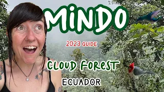 Mindo Ecuador 2023 Guide 🇪🇨 Hidden Ecuador Gem 🦜 Why YOU Should Visit The Cloud Forest Things To Do
