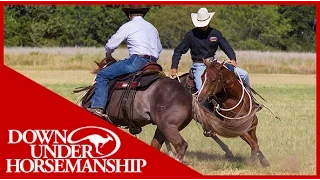 Clinton Anderson: How to Fix a Buddy-Sour Horse - Downunder Horsemanship