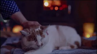 "The Cat Who Married a Mouse" *ASMR* Whispered Grimms Fairytale with purring cat and crackling fire!