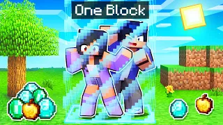 Minecraft But We're LOCKED In ONE BLOCK!