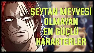 One Piece'de Şeytan Meyvesi Olmayan En Güçlü Karakterler