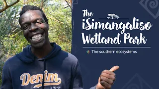 iSimangaliso Wetland Park: Southern Ecosystems with Sakhile Dube
