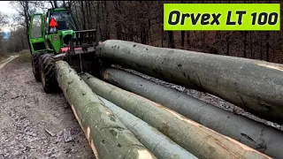 Orvex lt100 opäť v ťažbe v hrubých bukov po mesiaci oddychu, Amles, Stihl ms 500i, Forestwork,