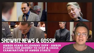 Amber Heard vs Johnny Depp Day 16 - Cross Examination of AMBER & She Asks JOHNNY to STOP Suing Her