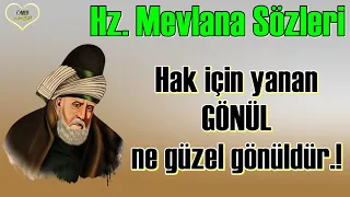 Mevlânâ Celâleddîn-i Rûmî 🌹 ( İlaç Gibi ) 🌹• Rabbim, kalbim'e değen sızıları, ince, ince söz eyle..!