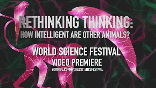 Rethinking Thinking - Trailer