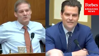 Gaetz, Jordan Question FBI Cyber Official About Hunter Biden At House Judiciary Committee Hearing