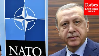 Turkish President Reportedly Opposes Finland And Sweden Joining NATO, Raising Hurdle To Their Bid