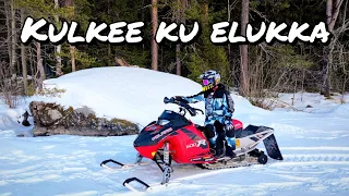 SÄÄTÖHOMMIA JA MAKKARANPAISTOA| POLARIS 600R -15