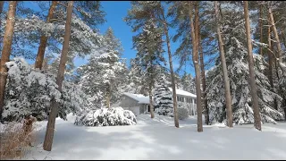 BEAUTIFUL WINTER Day in Canada Countryside Relaxing Sunny Winter Walk