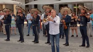 Flash Mob - Performing Mexico Folk songs in Plaza (HD) 🎵💃🏽