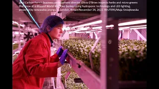 Food of the future : From London bunker to underground farm