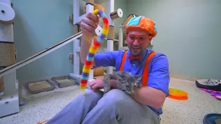 Blippi Toys! Blippi Visits an Animal Shelter Learn Animals for Children and The Pet Song