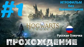 Hogwarts Legacy | ИГРОФИЛЬМ | Без Комментариев | Русская Озвучка | Часть 1
