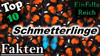 Top 10 Fakten über Schmetterlinge