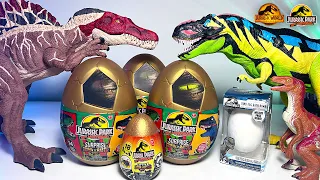 Opening TONS of Jurassic Park 30th Anniversary Captivz!