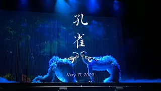 舞剧《孔雀》 - 20230517