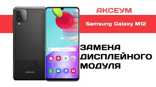 Замена экрана на Samsung Galaxy M12