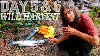 Greg Days 5 & 6 Rainforest Hike, Hidden Cove Fishing | 30 Day Survival Challenge: Vancouver Island