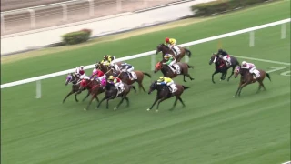 The Magic Man's Day Joao Moreira Wins 2/8 Race at Hong Kong Racecourse