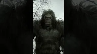 Bigfoot | Shorts | Cinemundo Película Gratis