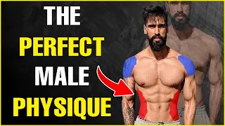 How to BUILD The PERFECT Male Physique? (3 Easy Steps)