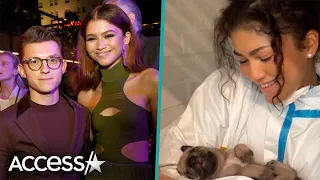 Zendaya & Tom Holland CUDDLE PUPPIES In Adorable Photos