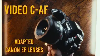 Viltrox EF-L Pro &  Lumix S5/S1 (Canon EF to L-Mount lens Adapter) - Autofocus Test & Review