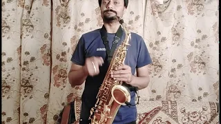 RAJU CHAL RAJU,,, SAXOPHONE INSTRUMENTAL 🎷