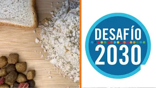 ¿Cómo se recicla comida descartada para alimentar humanos y sus mascotas? | Desafío 2030