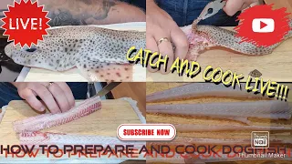 CATCH AND COOK LIVE!! Two ways/dishes on how to cook DOGFISH (lesser spotted catshark)