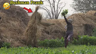 Fainted Bushman Prank | Best Farmer Reaction BUSHMAN New Craziest Video of 2022