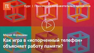 Классические исследования организации памяти — Мария Фаликман