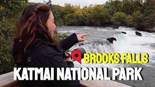 the FAMOUS YOUTUBE BEARS | a day in BROOKS FALLS & KATMAI NATIONAL PARK