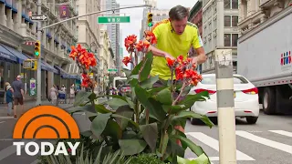 Meet The Man Beautifying NYC, One Tiny Garden At A Time