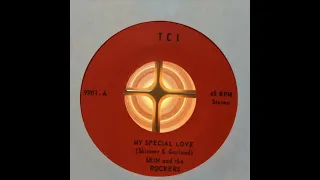 SKIN and the ROCKERS - MY SPECIAL LOVE (H)