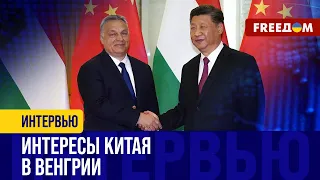 Что замышляет ТРЕУГОЛЬНИК Венгрия – РФ – Китай? У Си планы на Орбана