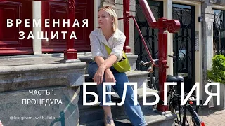 БЕЛЬГИЯ. Временная Защита для украинцев