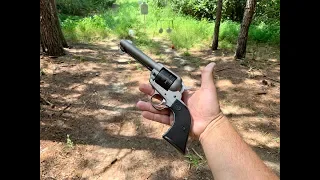 Ruger Wrangler 22lr Revolver